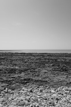 france-2019/L1000573.jpg