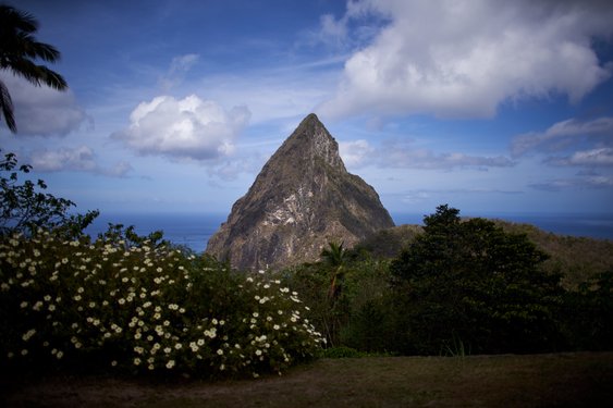 st_lucia/_DSC3784.jpg