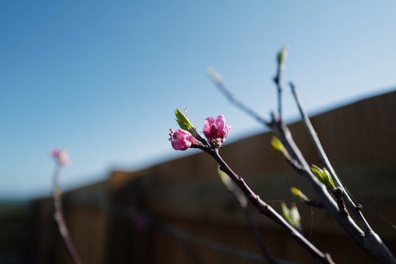 misc/L1010629.JPG
