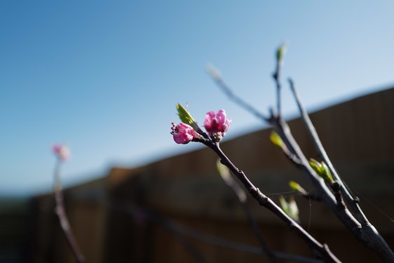 misc/L1010630.JPG