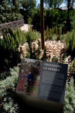 france/L1001863.jpg
