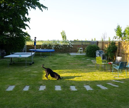 misc/summer-garden.jpg