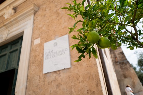rome/L1002148.jpg