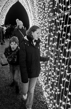 Wimpole Winter Lights
