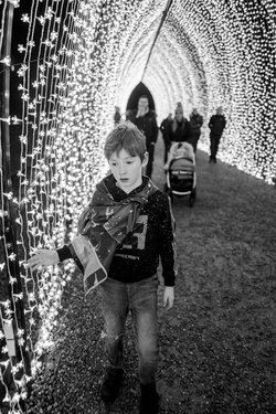 wimpole-winter-lights/L1002458.jpg