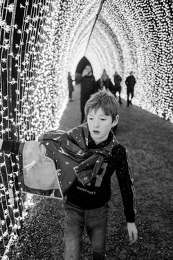 wimpole-winter-lights/L1002459.jpg