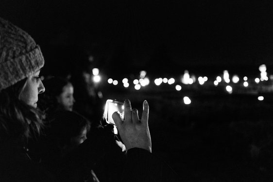 wimpole-winter-lights/L1002482.jpg