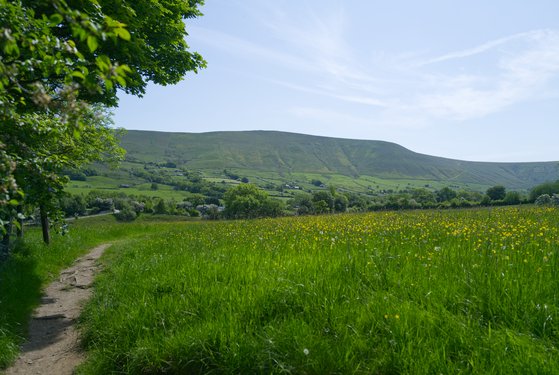 yorkshire-holiday/L1000733.jpg