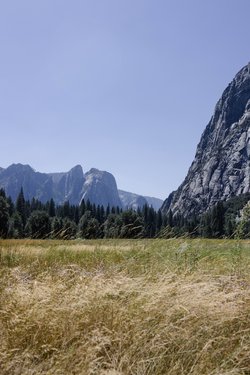 california/0Q5A3084.jpg