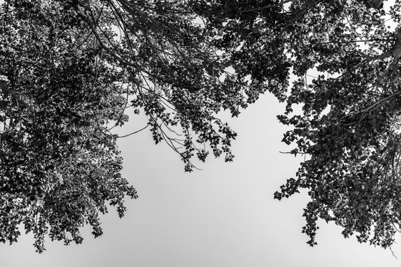 california/0Q5A3093.jpg