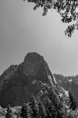 california/0Q5A3100.jpg
