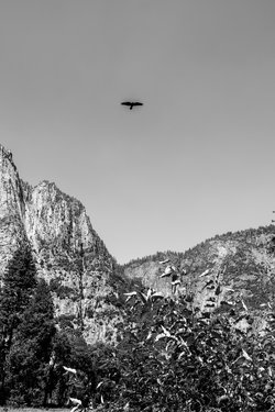 california/0Q5A3153.jpg