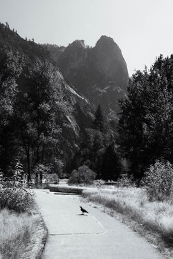 california/0Q5A3163.jpg