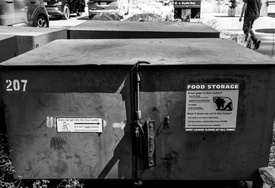 california/0Q5A3166.jpg