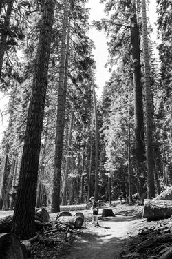 california/0Q5A3195.jpg