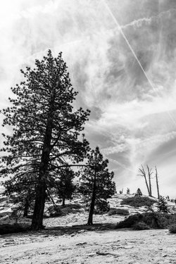california/0Q5A3230.jpg