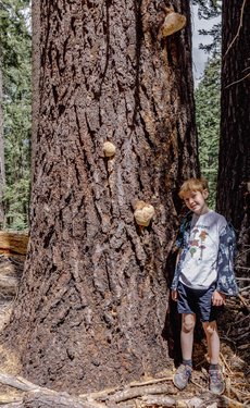 california/0Q5A3235-3.jpg