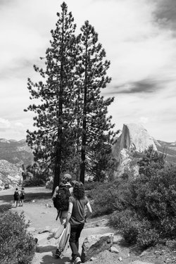 california/0Q5A3243.jpg