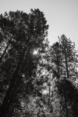 california/0Q5A3296.jpg