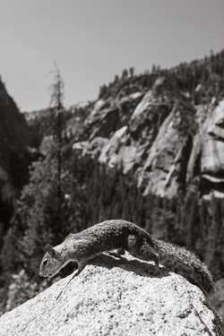 california/0Q5A3324.jpg
