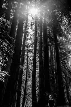 california/0Q5A3509.jpg