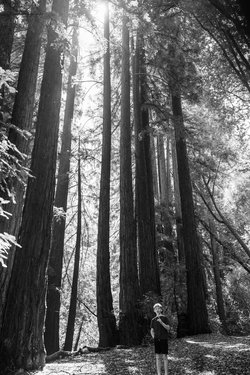california/0Q5A3511.jpg