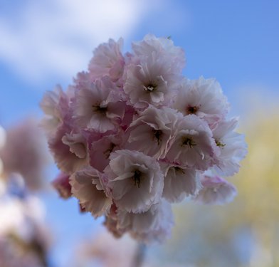 easter/0Q5A6350.jpg