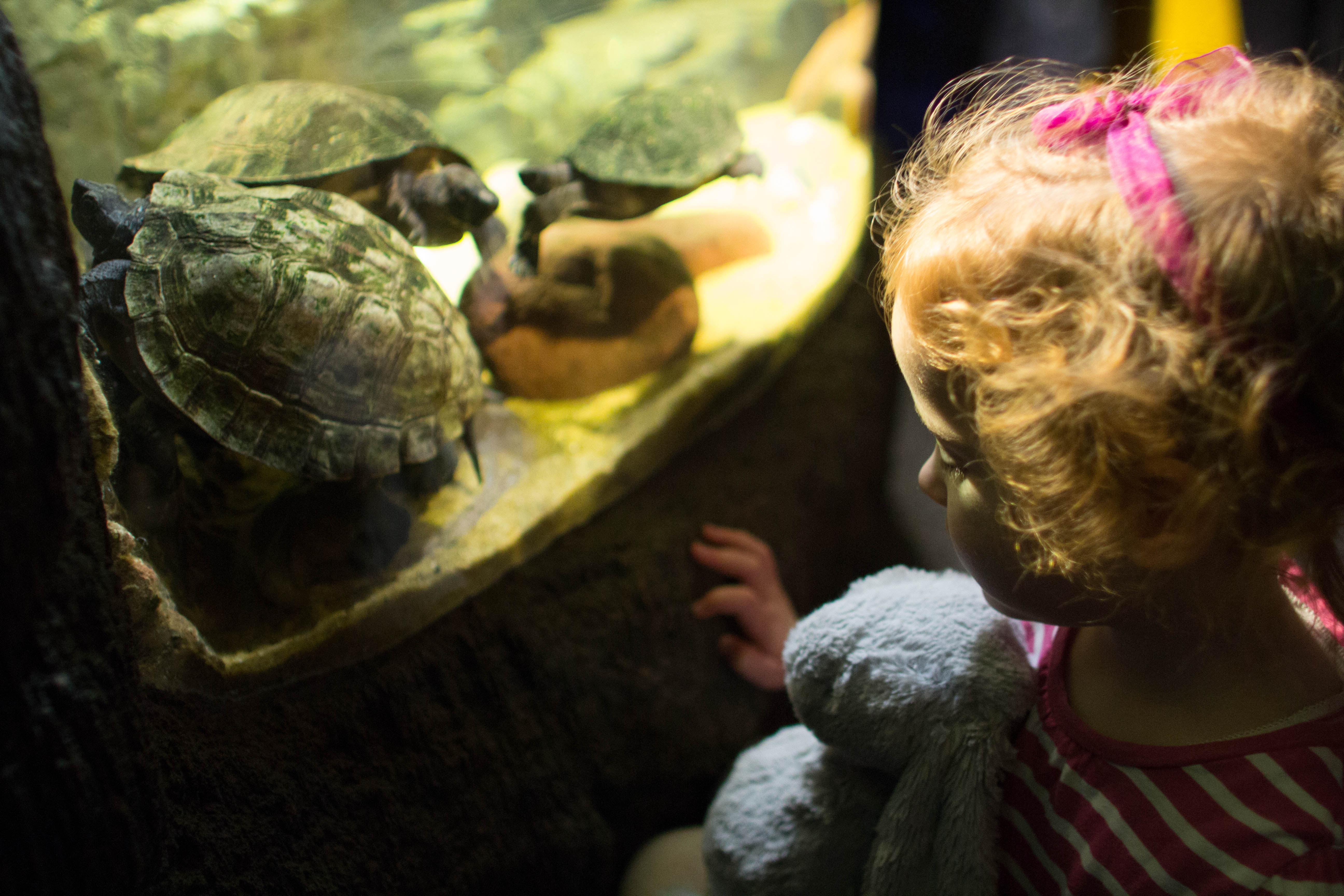 Birmingham Sea Life