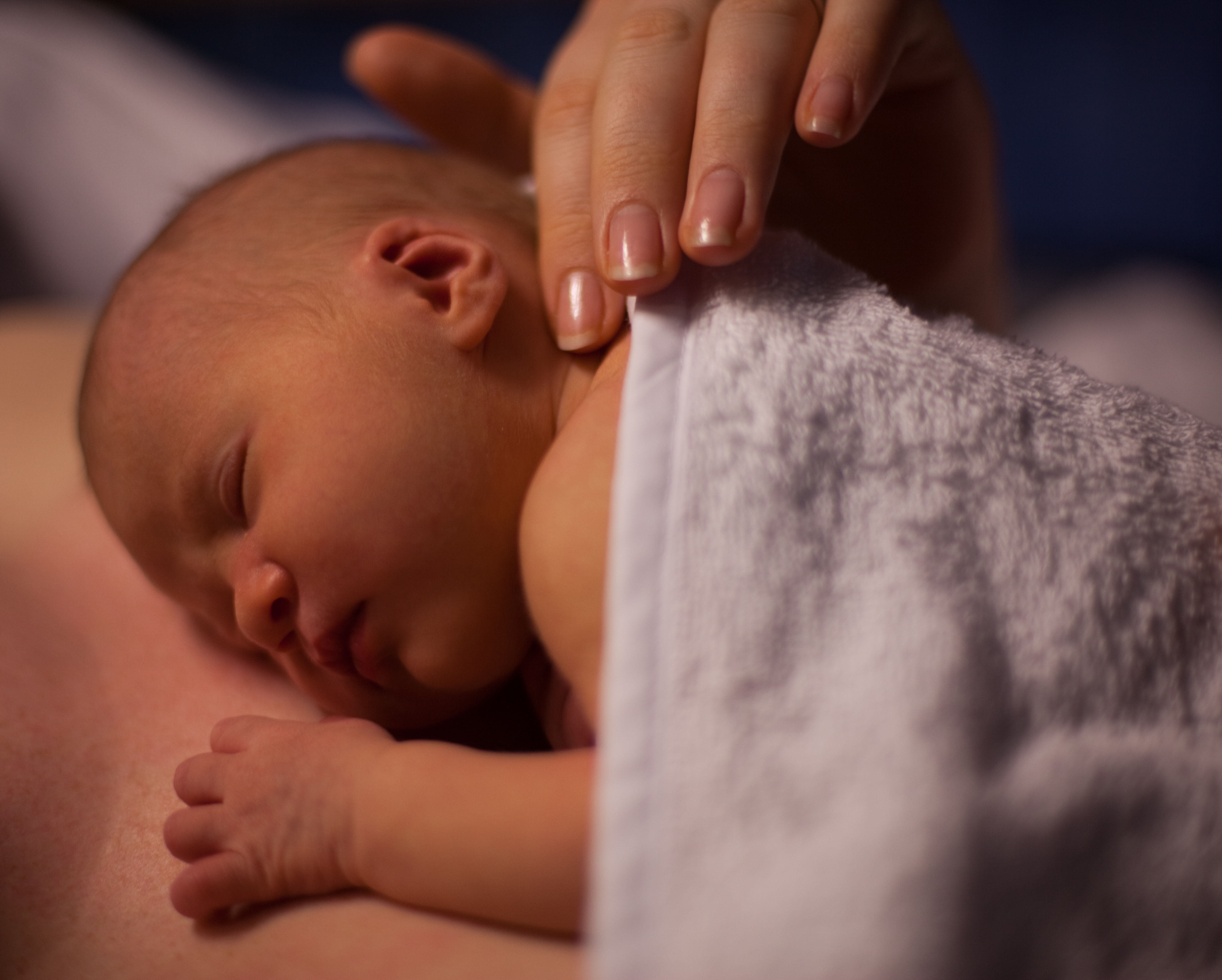 Lila Kay Coghlan 1532010